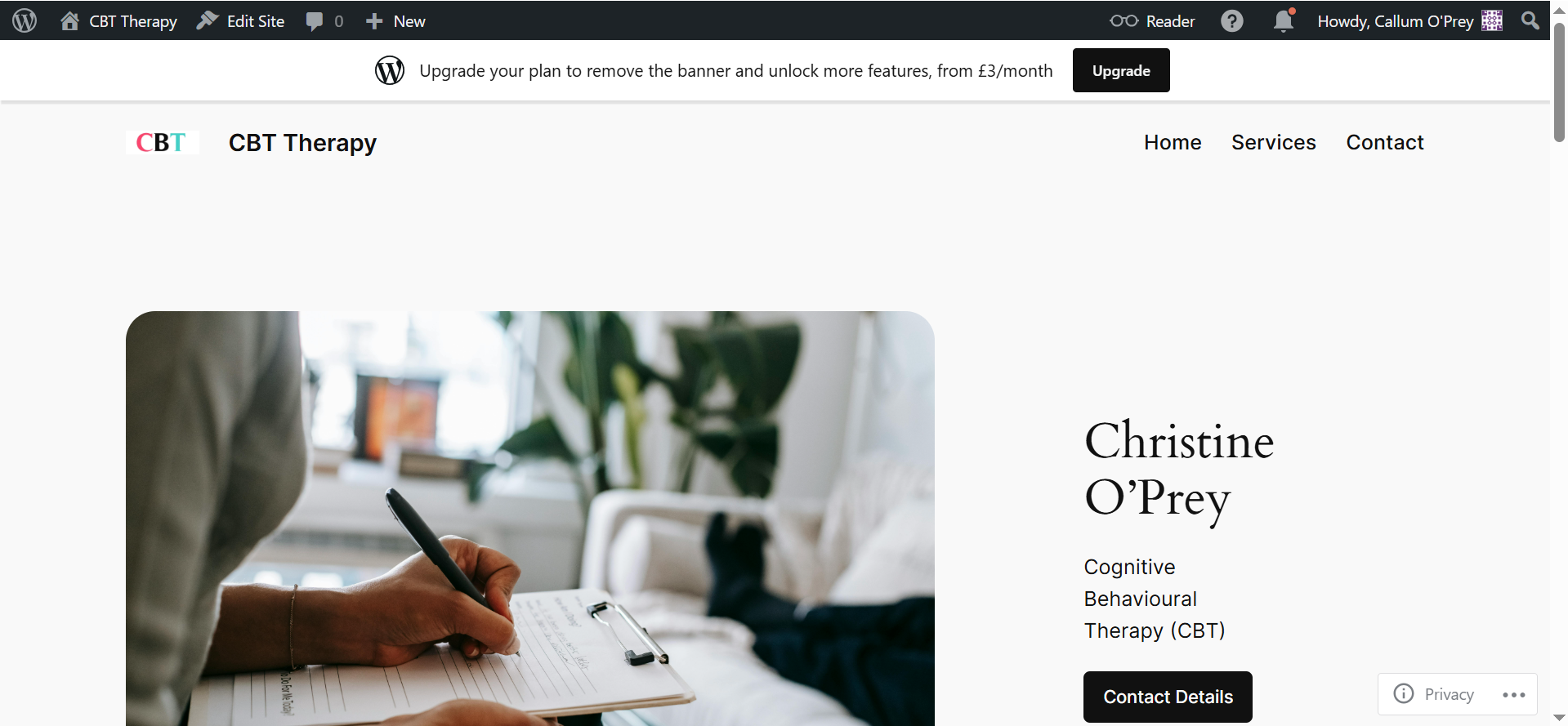 CBT Therapy Site screenshot